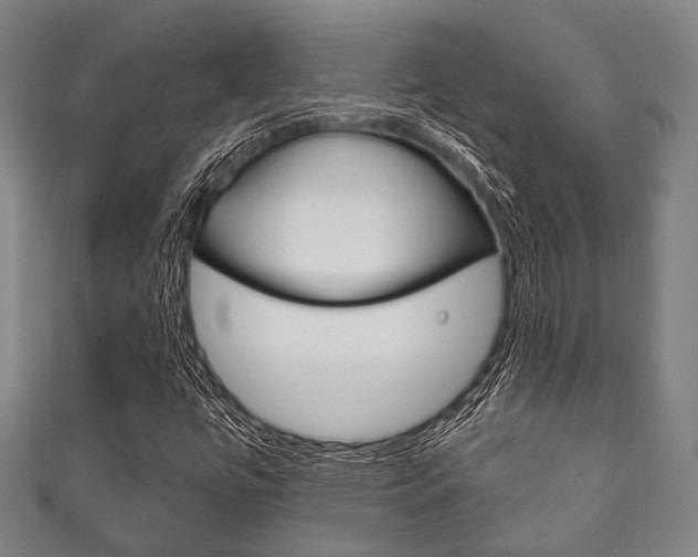 X0000111831447200907231012