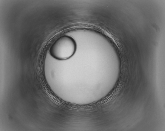 X0000111831448200907231012