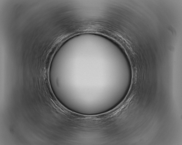 X0000111831449200907231012