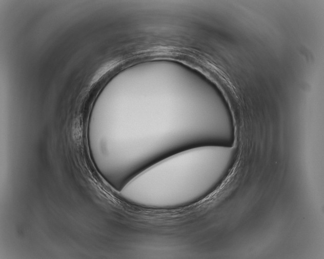 X0000111831450200907231012