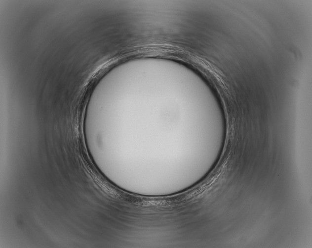 X0000111831451200907231012