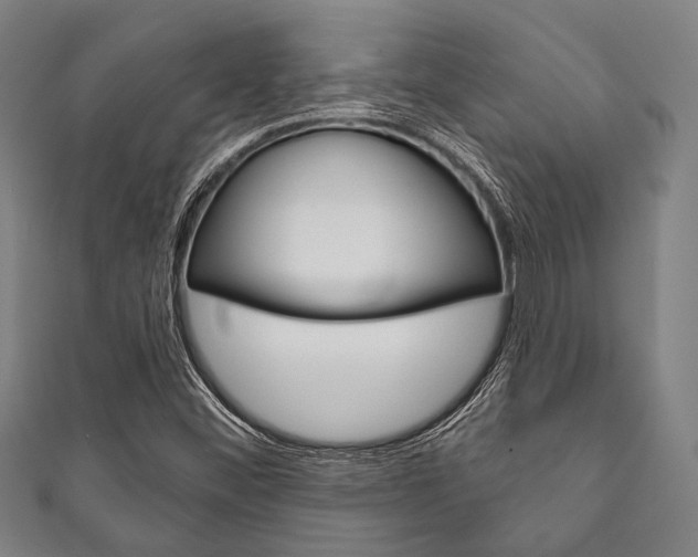 X0000111831452200907231012