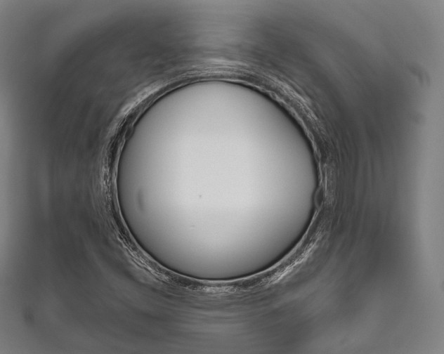 X0000111831453200907231012