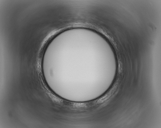 X0000111831454200907231012