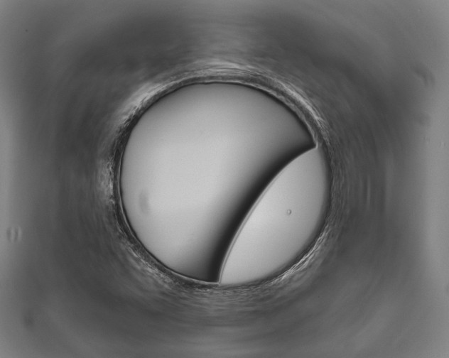 X0000111831455200907231012