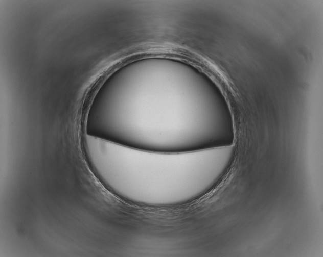 X0000111831456200907231012