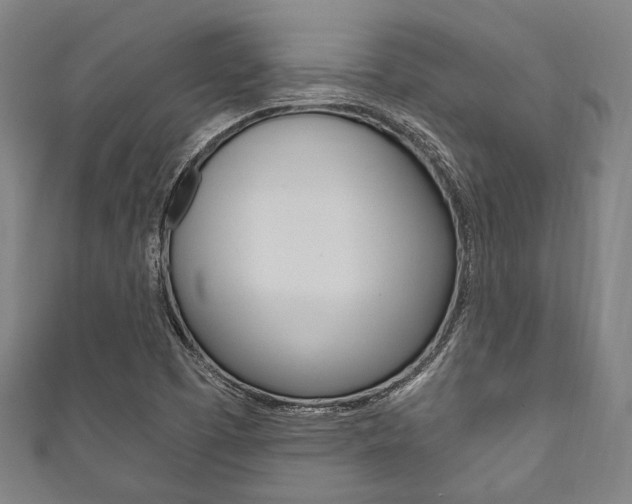 X0000111831457200907231012