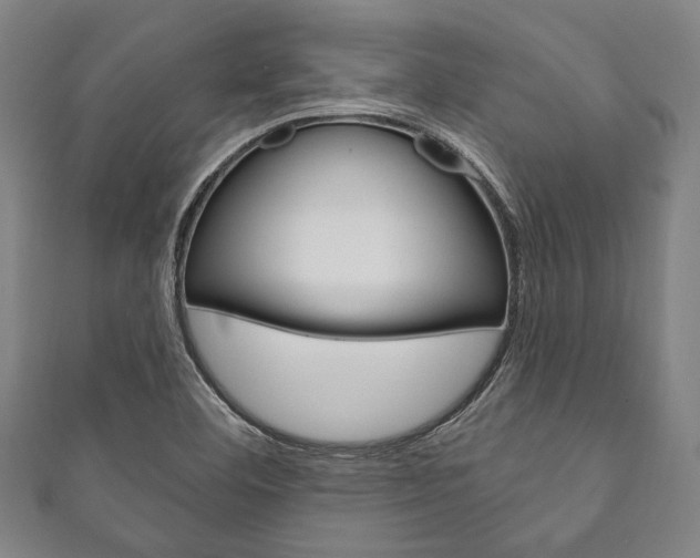 X0000111831460200907231012