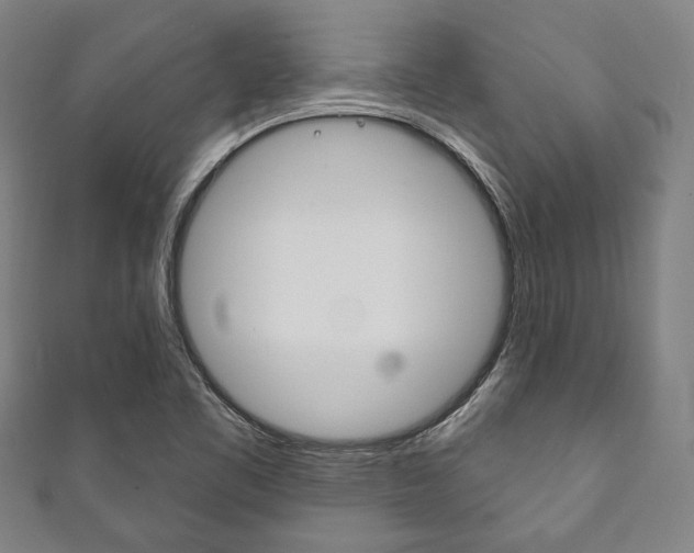 X0000111831461200907231012