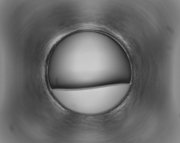 X0000111831463200907231012