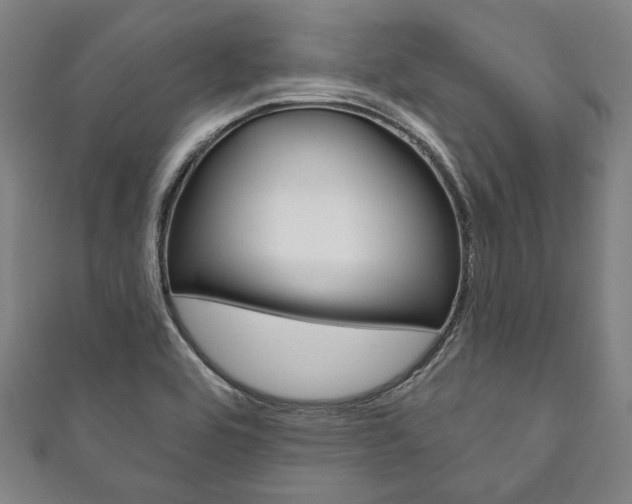 X0000111831464200907231012