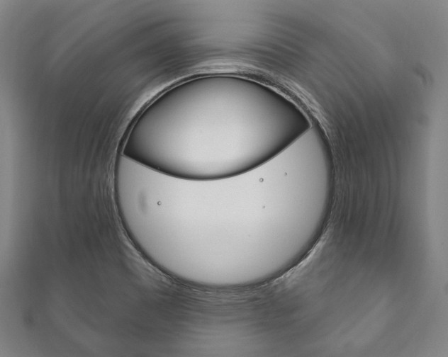 X0000111831465200907231012