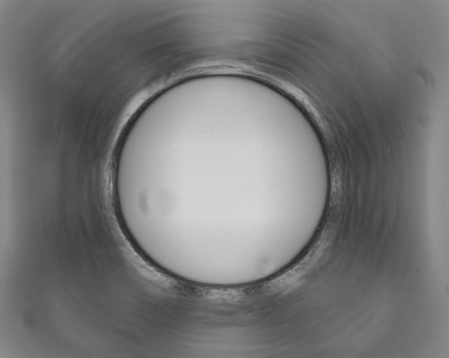 X0000111831466200907231012