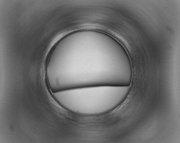 X0000111831467200907231012