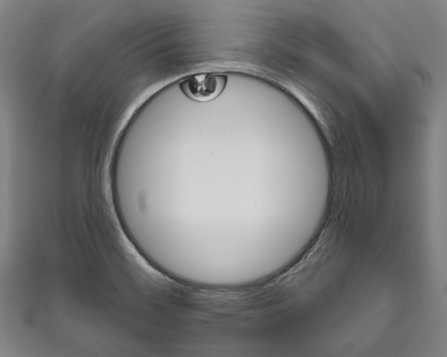 X0000111831468200907231012
