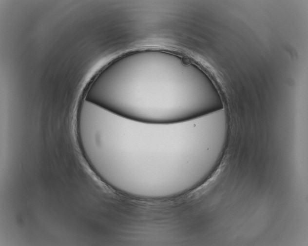 X0000111831469200907231012