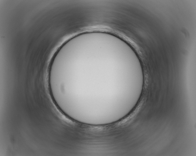 X0000111831470200907231012
