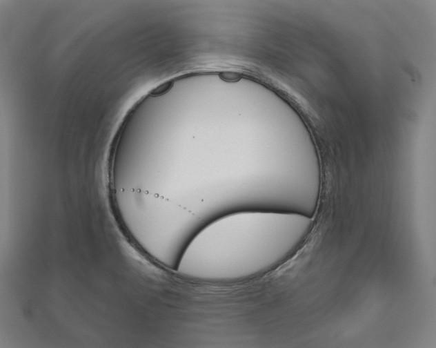 X0000111831471200907231012