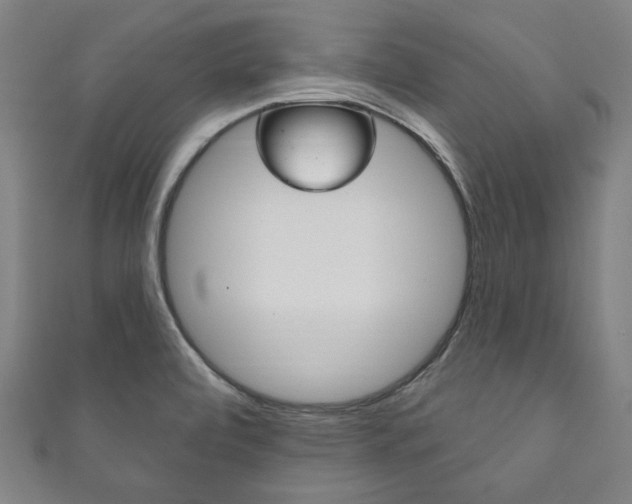 X0000111831472200907231012