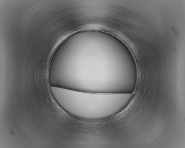 X0000111831473200907231012
