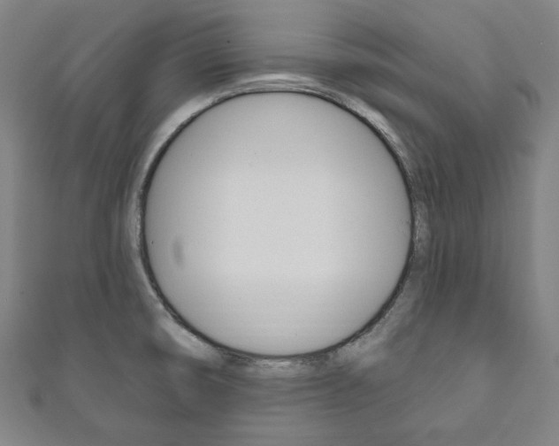 X0000111831474200907231012
