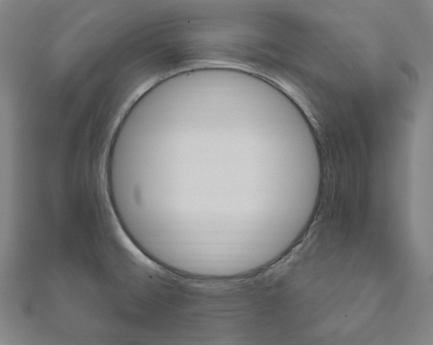 X0000111831476200907231012