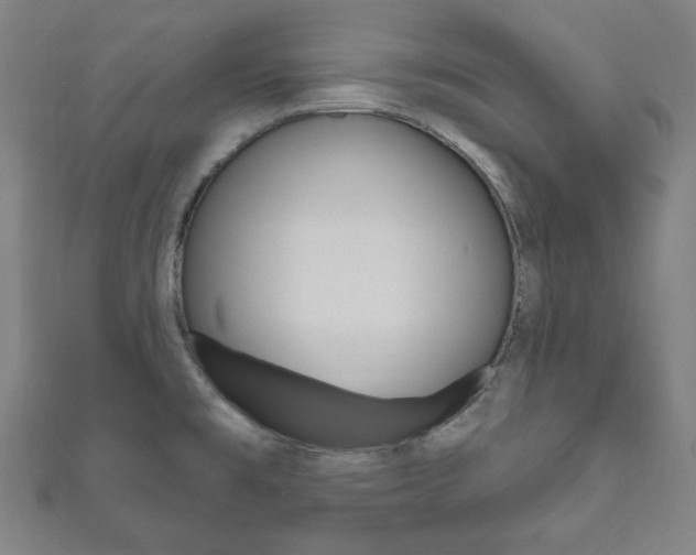 X0000111831477200907231012