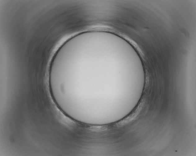 X0000111831478200907231012