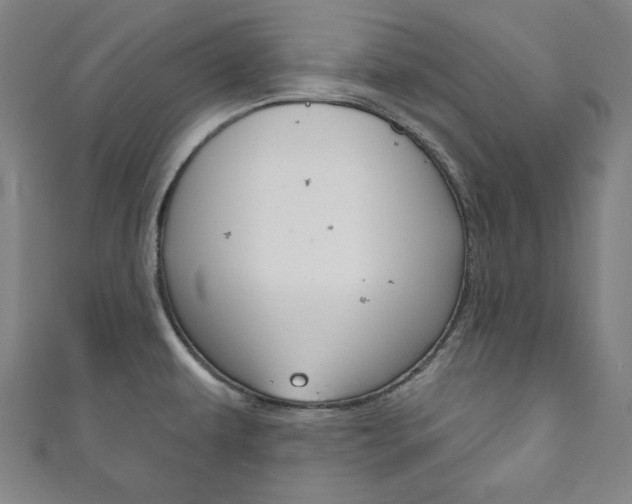 X0000111831479200907231012