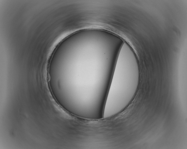 X0000111831480200907231012
