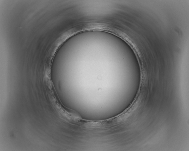 X0000111831481200907231012