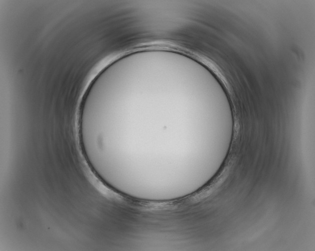 X0000111831482200907231012