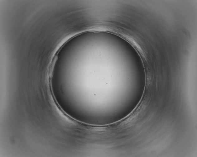 X0000111831484200907231012