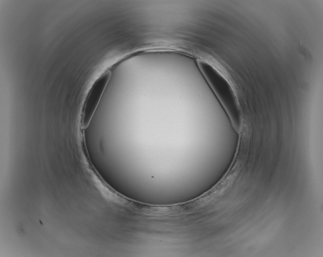 X0000111831485200907231012