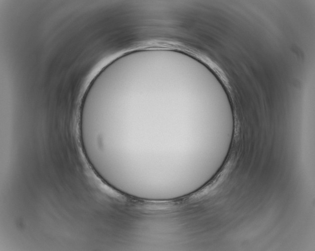X0000111831486200907231012