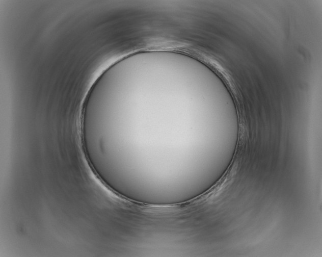 X0000111831487200907231012