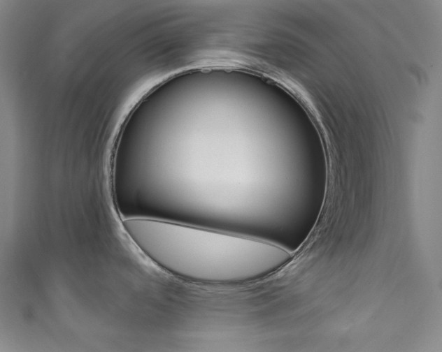 X0000111831488200907231012