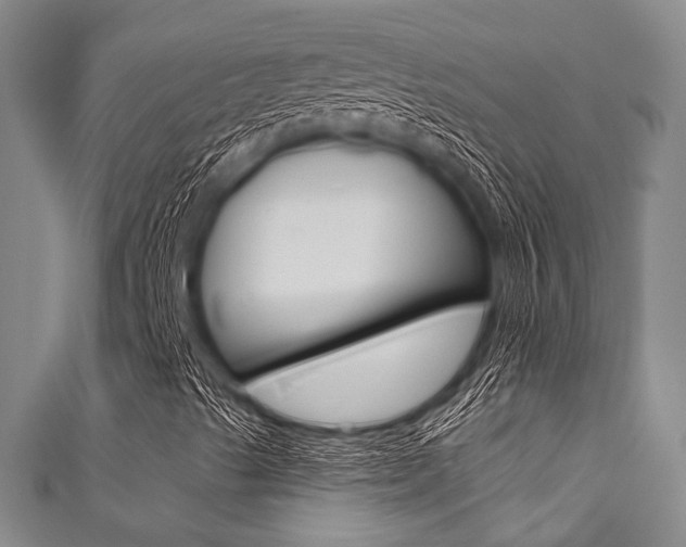X0000111831489200907231011