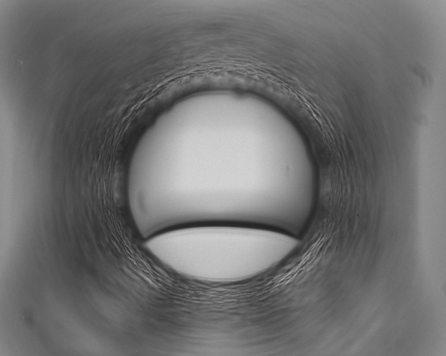 X0000111831490200907231011