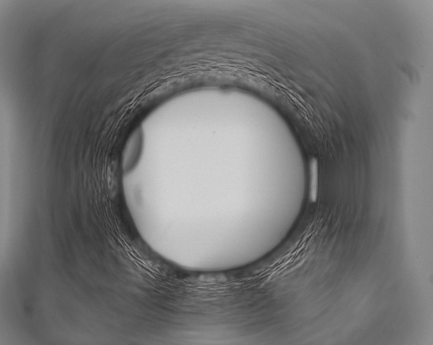 X0000111831491200907231011