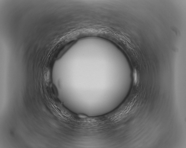 X0000111831492200907231011