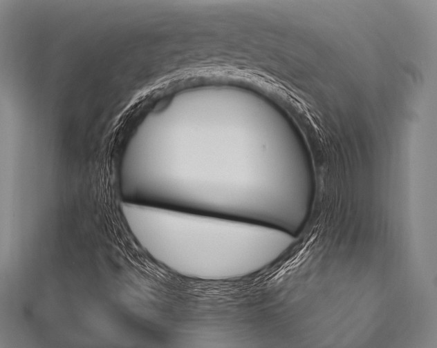 X0000111831494200907231011