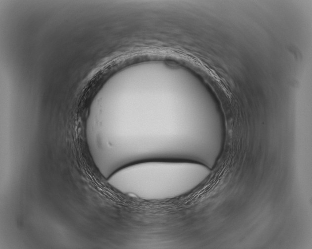 X0000111831495200907231011