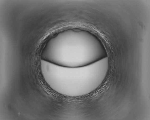 X0000111831496200907231011