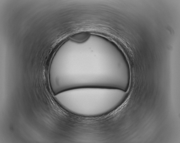 X0000111831497200907231011