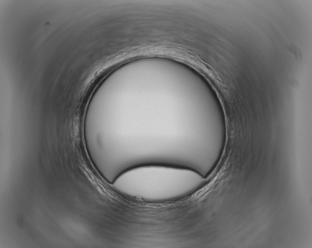 X0000111831499200907231011