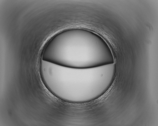 X0000111831500200907231011