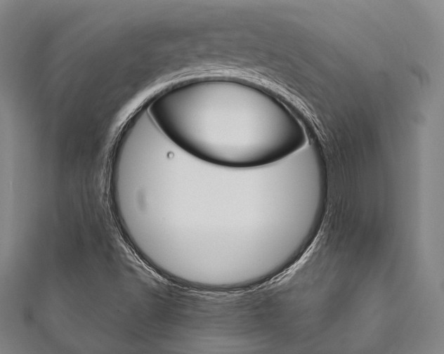 X0000111831502200907231011