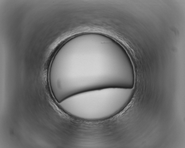 X0000111831503200907231011