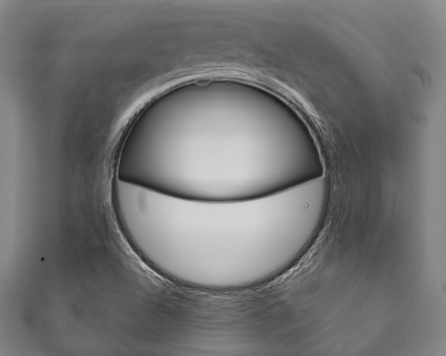 X0000111831504200907231011